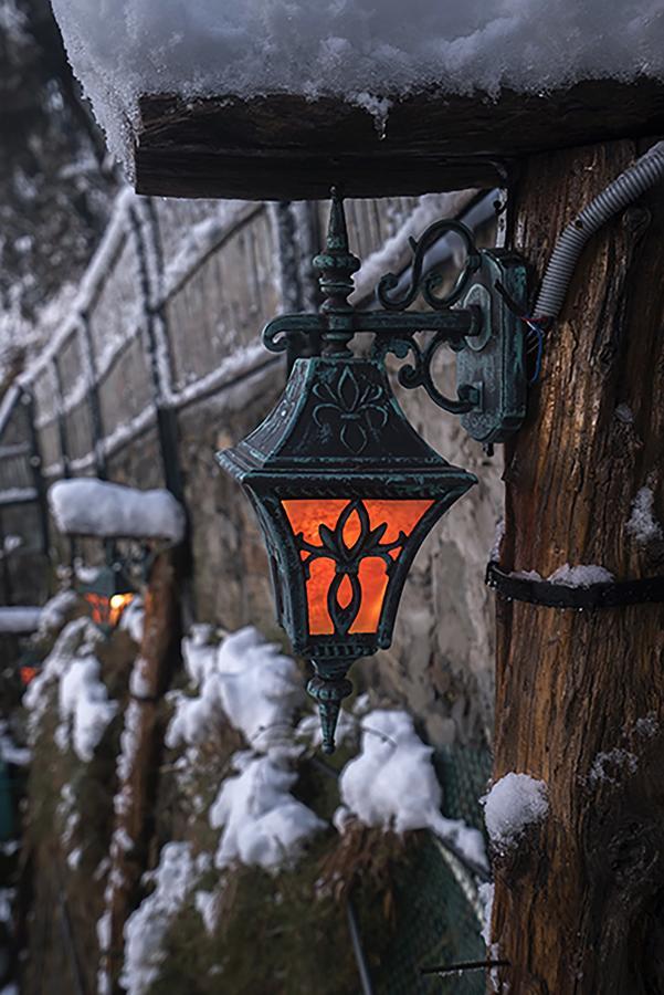 Meena Bagh Шімла Екстер'єр фото